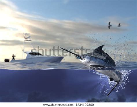 Cathing Marlin Swordfish Fisherman Sport Fishing Stock Illustration