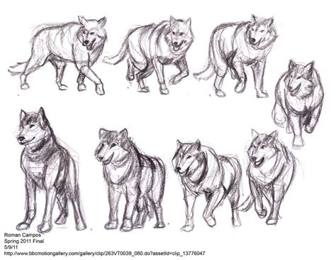 We did not find results for: Wolf Motion Study by mell0w-m1nded | Wolf poses, Wolf sketch, Bear art