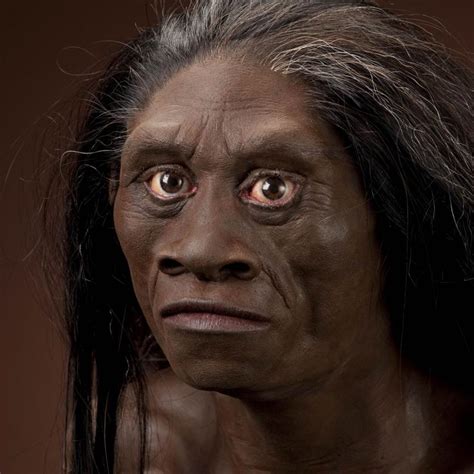 Homo Floresiensis The Smithsonian Institutions Human Origins Program