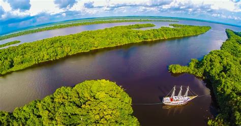 Manaos tour de día completo por el río Amazonas GetYourGuide