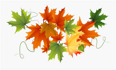 Falling Leaves Clipart Png Transparent Background Fall Leaves Clipart