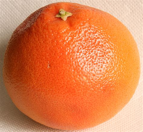 Filegrapefruit 2008 3 3 Wikipedia