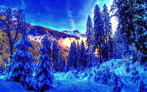 Snow Trees Winter Landscapes Hdr Photography Nordic 1920x1200 Wallpaper