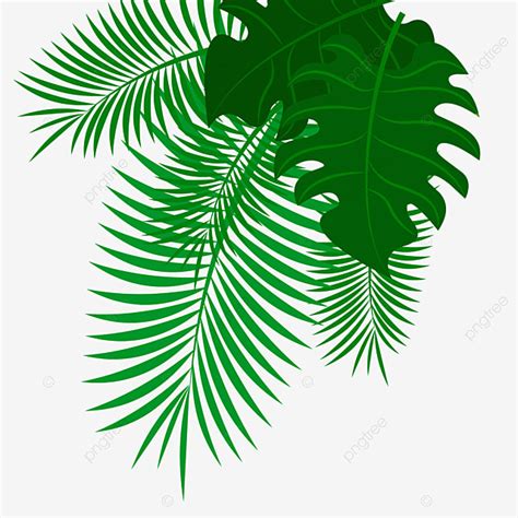 Gold Palm Leaves Vector Hd Images Palm Leaves Coconut Leaf Leaf