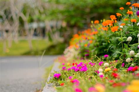 Beautiful Flower Garden Free Photo On Pixabay Pixabay