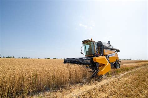 Grain Harvest Season Begins In Azerbaijan Photo Trendaz