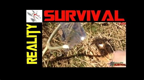 Now the question is how does one mirror an android phone to a fire tv. How To Start A Fire With A Fresnel Lens / Magnifying Glass ...