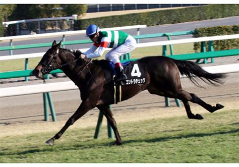 異世界に来た僕は器用貧乏で素早さ頼り 稲田 浩司／三条 陸／堀井 雄二. JRAヴィクトリアマイル（G1）"今"の東京コースは「庭」同然 ...