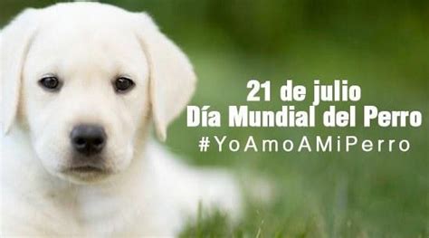 El mejor amigo del hombre está de fiesta. El Almanaque Nº 7549 Martes 21 de Julio de 2020