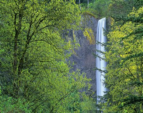 Latourell Falls Columbia River Gorge Photograph By Tim Fitzharris Pixels