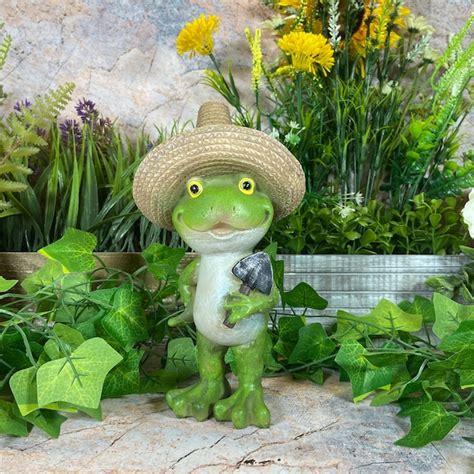 Frog With Sombrero Etsy