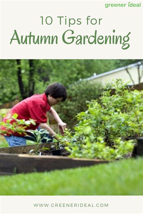 10 Autumn Gardening Tips Autumn Garden Garden Planning Gardening Tips