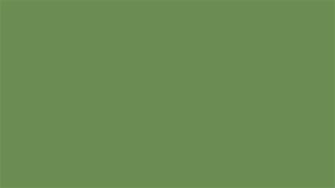 Pantone 17 0230 Tcx Forest Green Color Hex Color Code 6b8d53
