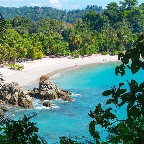 Where In Costa Rica To Vacation In 2023 Rainforest Adventures