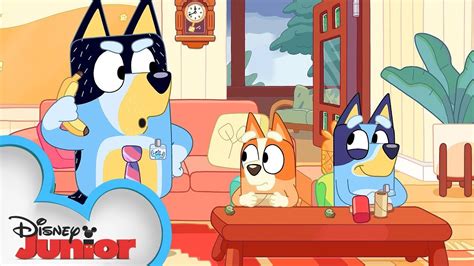 Bluey And Bingo Go To Work 💼 Bluey Disney Junior Youtube