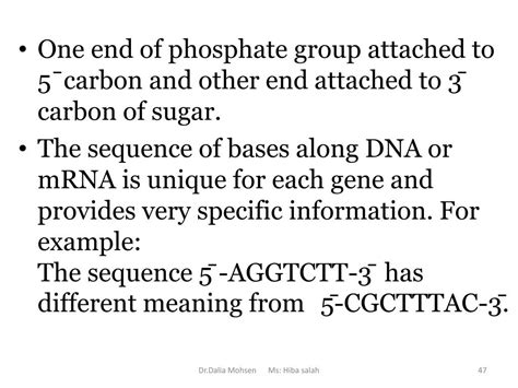 Ppt Chapter 5 The Structure And Function Of Large Biological