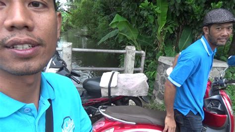 Gizinya yang tinggi tentu akan memberikan gizi yang baik pula bagi hewan ternak. ISTIMEWA cara mengambil cacing sutra di kali - YouTube