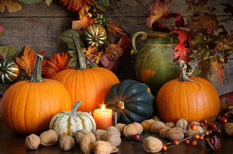 Simple Ways To Use Pumpkins Squash And Gourds In Fall