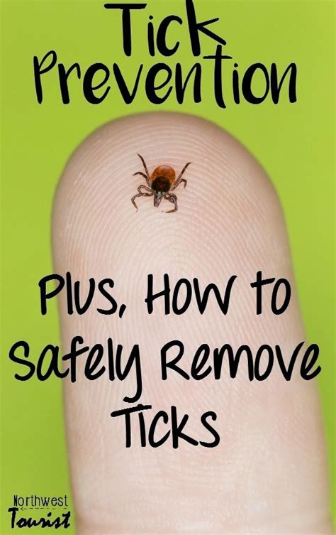 Pin By Puzyrkovayulechka On Health Tick Removal Tick Prevention