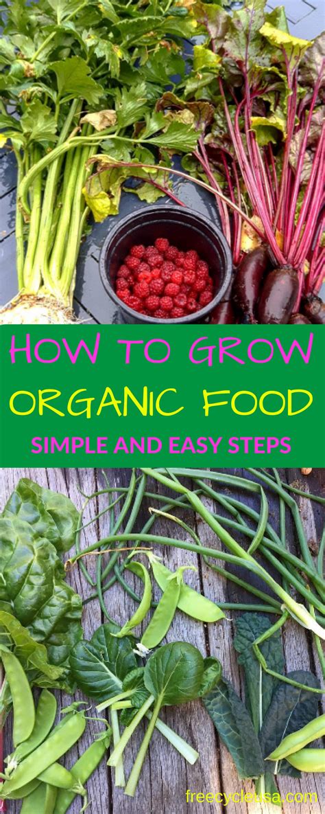 How to Grow Healthy Organic Food - FREECYCLE USA