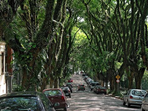 Rua Mais Bonita Do Mundo Clama Por Reurbanização Cimento Itambé