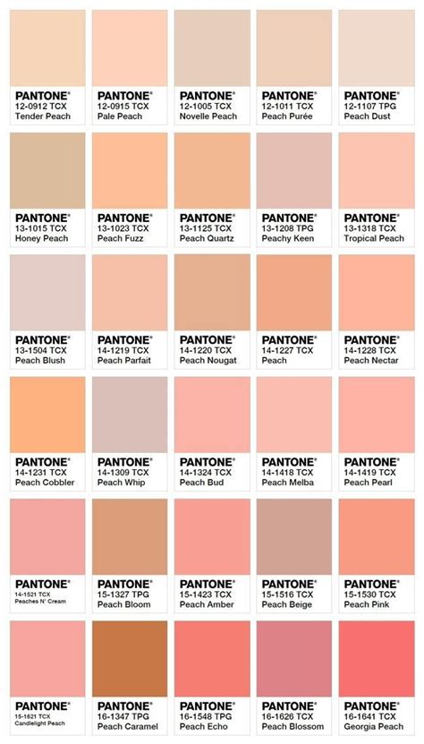 Shades Of Peach Color Palette