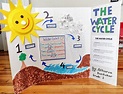 Water Cycle Project | Science fair poster, Water cycle, Science fair ...