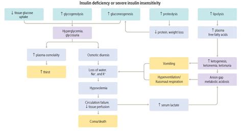 Pathogenesis Of Diabetic Ketoacidosis Insulin Deficiency Grepmed