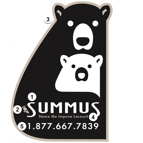 summus-logo-numbers - Summus