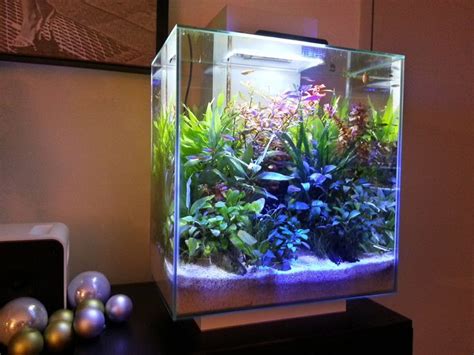 15 Must See Tropical Aquarium Pins Tropical Fish Discus Fish And