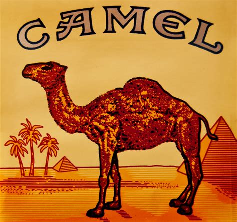 Camel cigarettes were launched with a viral ad campaign more than a hundred years ago, and it was so successful that it made them the top selling cigarette in just four years. Camel Cigarette Maker Bans Workers From Smoking ...