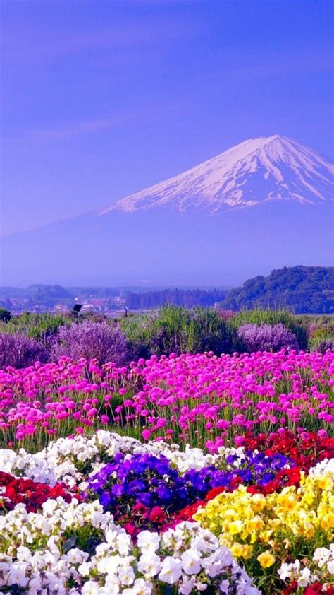 Spring In Japan Beautiful Nature Pictures Amazing Nature Nature