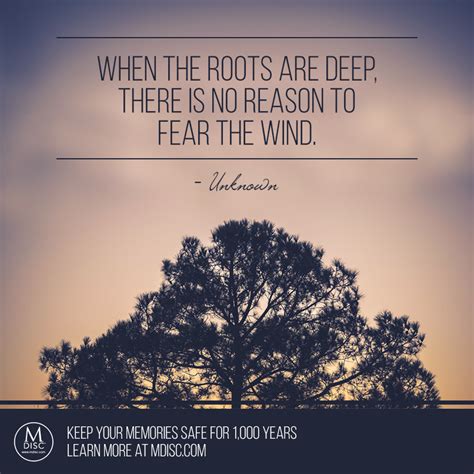 When The Roots Are Deep There Is No Reason To Fear The Wind Unknown