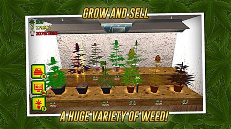 Weed Shop The Game For Ios And Android Youtube