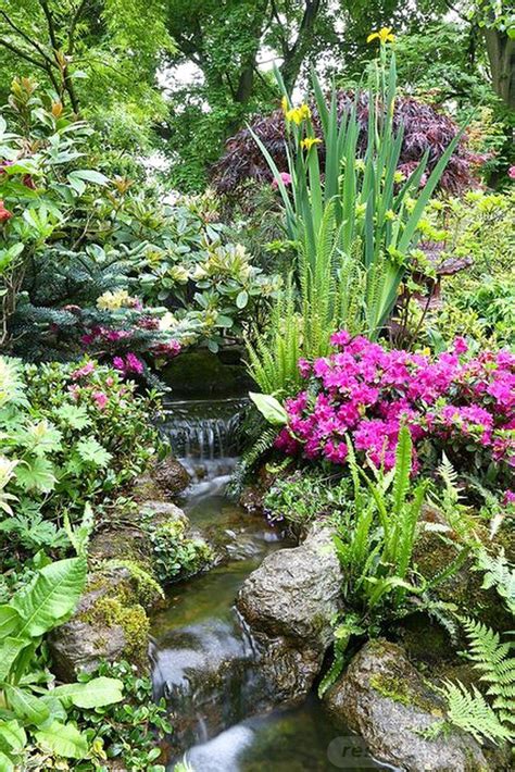 21 Most Popular Small Tropical Garden Ideas