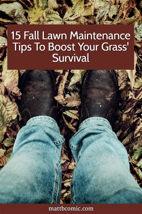 15 Lawn Maintenance Tips To Spruce Up Your Yard Fall Lawn Fall Lawn