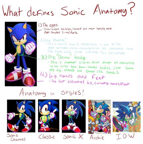 Simple Sonic Style Guide Sonic The Hedgehog Amino