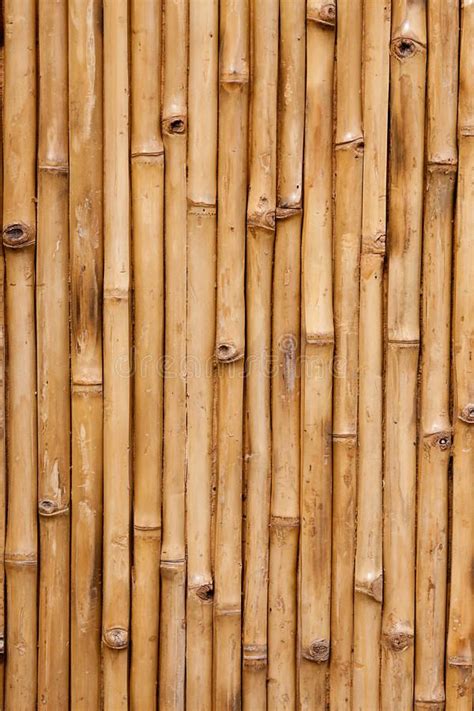 An Image Of Bamboo Texture Background Stock Images And Royalty Photos