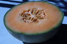 melon honeydew freeimages stock large