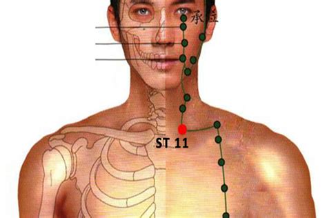 St 11 Acupuncture Pointqishe Locationbenefit Perfect Tcm