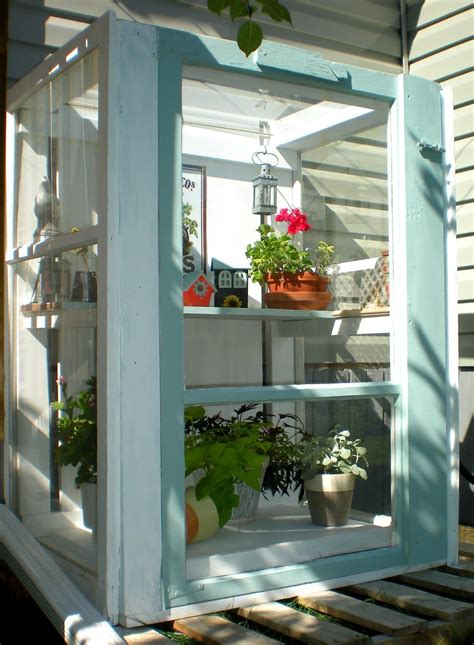 Low on cash but need a greenhouse built? from old windows | Diy greenhouse plans, Diy greenhouse ...