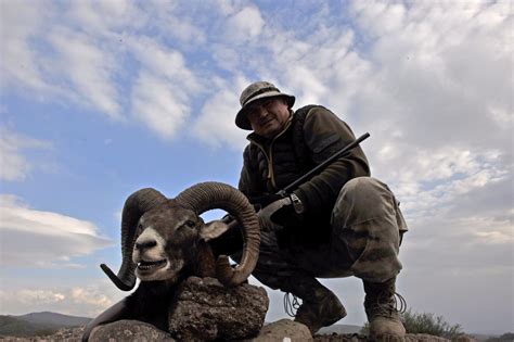 7 Day Mouflon Hunt For One Hunter And One Non Hunter In Macedonia