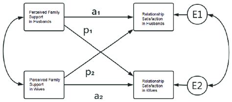 a hypothetical actor partner interdependence model apim with download scientific diagram