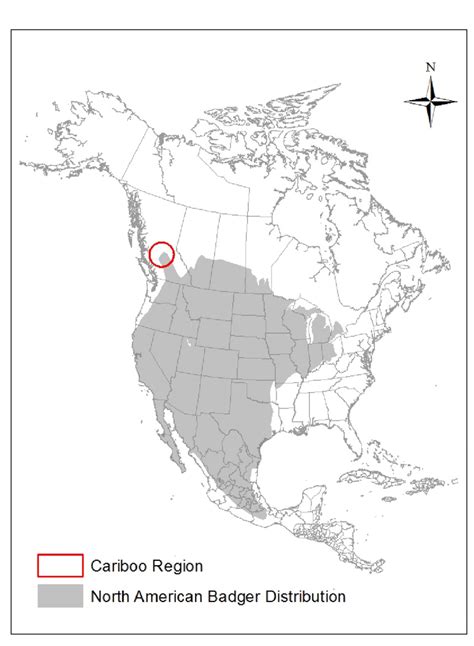 Geographic Range Map Of The North American Badger Taxidea