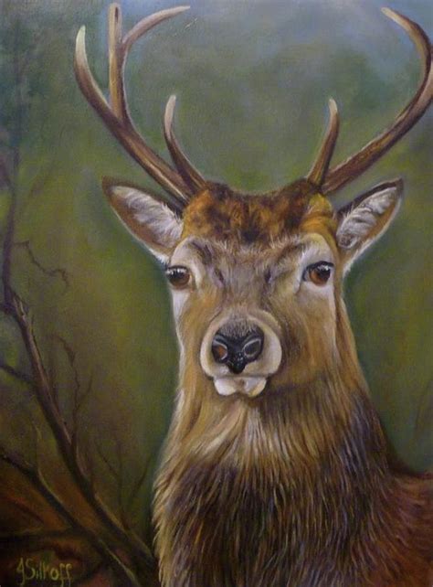 Red Deer Stag Painting By Janet Silkoff