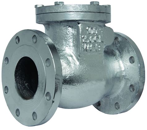 Flanged End Stainless Steel Non Return Valve At Rs 7000piece Ss Non