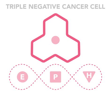 Triple Negative Breast Cancer National Breast Cancer Foundation