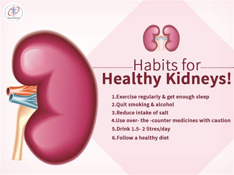 How To Keep Kidneys Healthy A Comprehensive Guide Ihsanpedia
