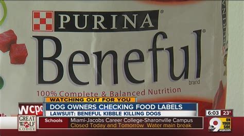 Purina Beneful Dog Food Lawsuit Man Claims Dog Food Brand Killing Pets