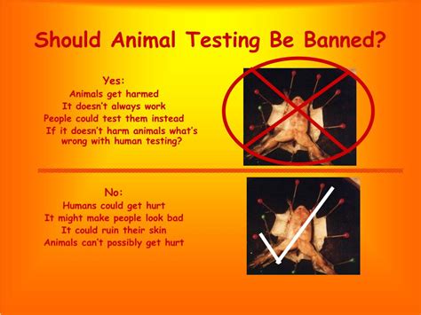 Ppt Animal Testing Powerpoint Presentation Free Download Id4597865